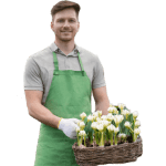 Niezawodny partner w zielonych projektach